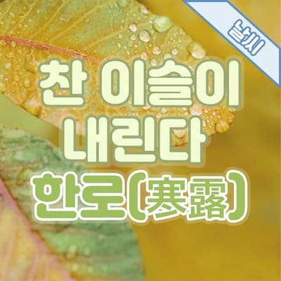 24절기에 대하여, 찬 이슬이 내리는 시기 '한로(寒露)'💧