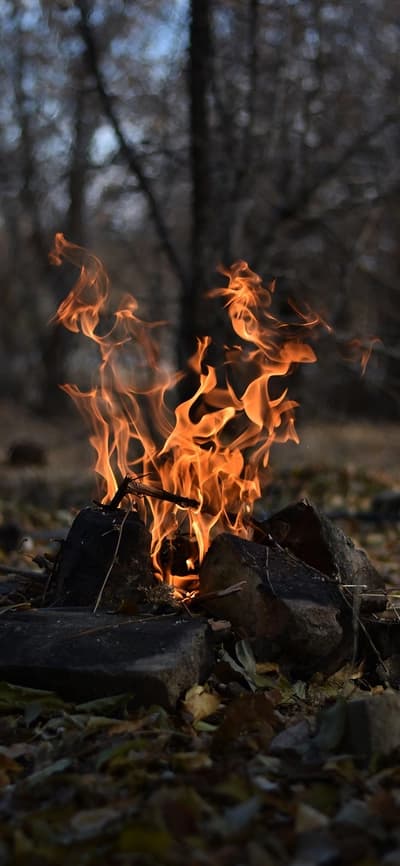 숲속 캠핑과 모닥불 소리