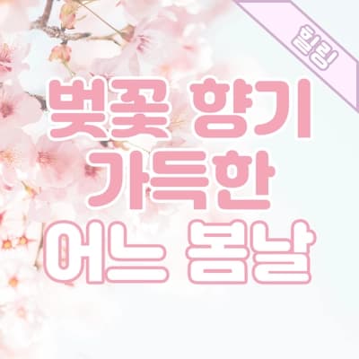 살랑이는 바람 사이로 벚꽃 향 가득한 어느 봄날🌸