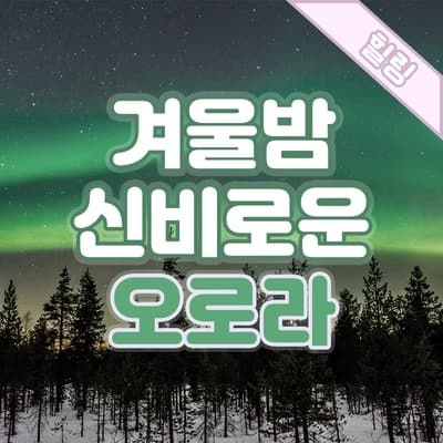 신비롭고 아름다운, 오로라가 춤추는 핀란드의 겨울밤🌌